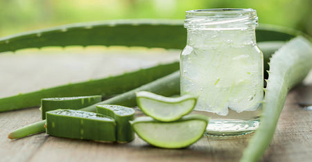 Aloe Vera